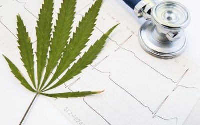 What You Need to Know About Marijuana & Heart Health