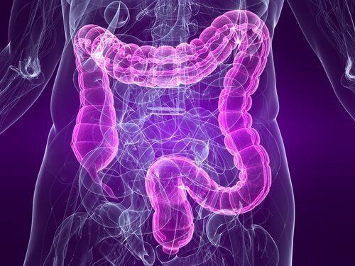 Need Relief from IBS Flare-Ups? Medical Marijuana Can Help!