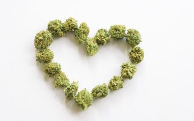 Is Marijuana Good or Bad for the Heart in Ohio?