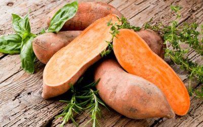 These Foods Will Improve Your High in Ohio