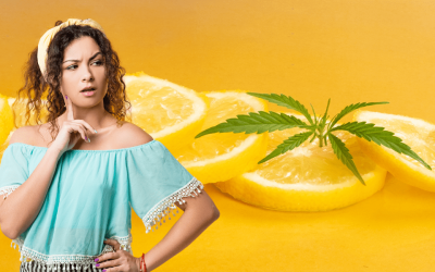 Limonene is a Terpene You Need to Know About in Ohio