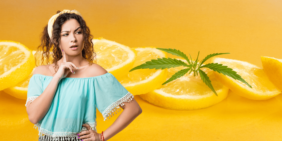 Limonene is a Terpene You Need to Know About in Ohio