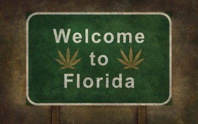 Florida Medical Marijuana Laws 2019