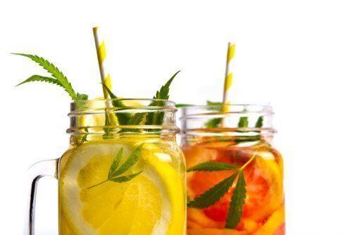 Summers in Florida are Hot! Here’s How Cannabis Can Keep Your Body Cool
