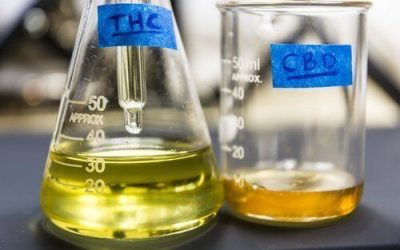 Why Your THC or CBD Might Not Be Working (Bioavailability Explained)