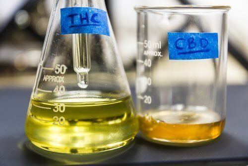 Why Your THC or CBD Might Not Be Working (Bioavailability Explained)