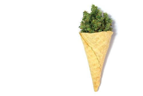 Summers in Ohio are Hot! Here’s How Cannabis Can Keep You Cool