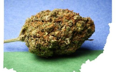 Ohio Medical Marijuana Laws 2019