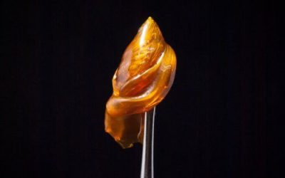 Concentrates: Which Extraction Method is Best?