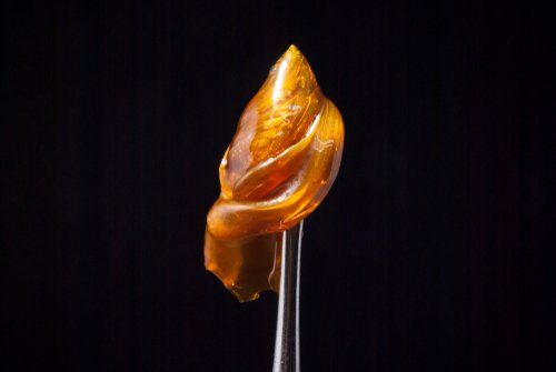 Concentrates: Which Extraction Method is Best?