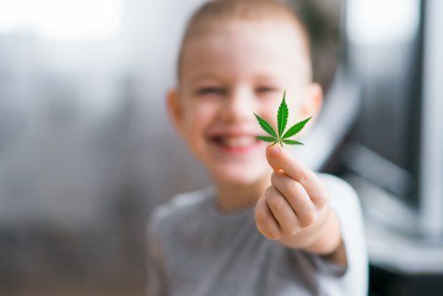 Florida Medical Marijuana Recommendations for Pediatric Patients