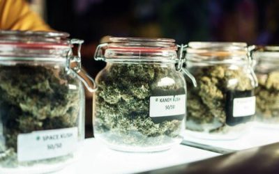 These Strains Will Give You Daytime Energy in Ohio