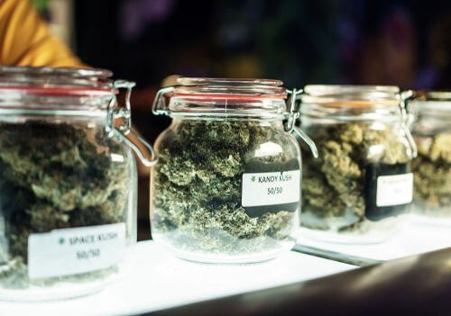These Strains Will Give You Daytime Energy in Ohio