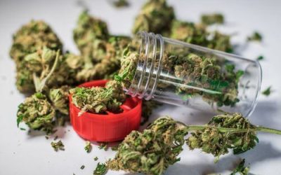THC Consumption Methods: What’s the Best in Ohio?