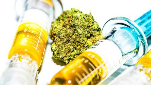 The Differences Between Vaping Whole Flower & Vaping Oil in Ohio