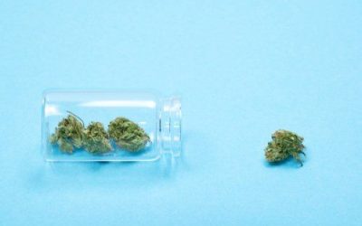Keep it Fresh: A Guide to Storing Your Medical Weed
