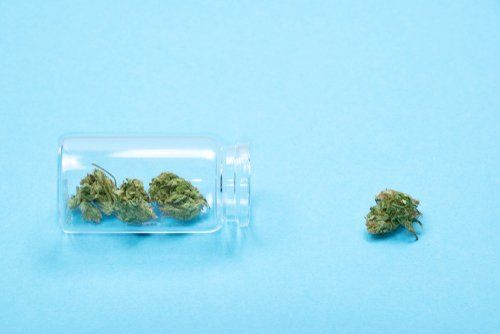 Keep it Fresh: A Guide to Storing Your Medical Weed