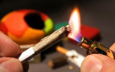 Debunking These 5 Common Myths About Weed