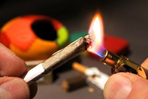 Debunking These 5 Common Myths About Weed