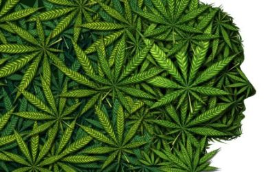 Here’s How CBD Effects Brain Function in Ohio
