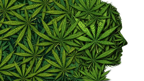 Here’s How CBD Effects Brain Function in Ohio