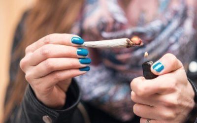 Is Marijuana Today Different from the ’70s?