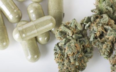 The Benefits of Taking Your Cannabis in a Capsule in Ohio