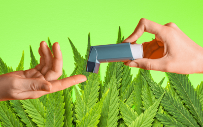 Everything You Need to Know About Cannabis Inhalers