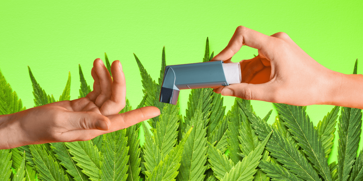 Everything You Need to Know About Cannabis Inhalers
