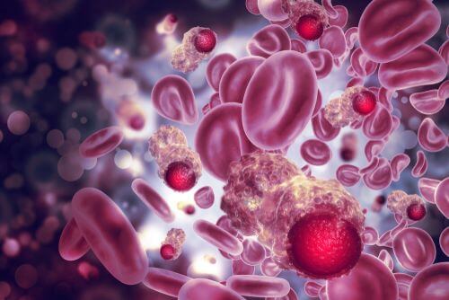 Does Cannabis Actually Cure Cancer in Ohio?
