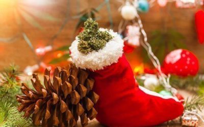 These Pinene Rich Strains are Perfect for the Holiday Season