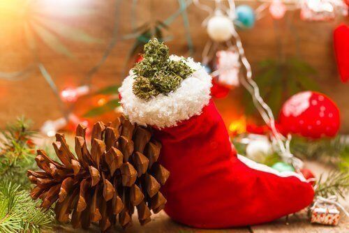 These Pinene Rich Strains are Perfect for the Holiday Season