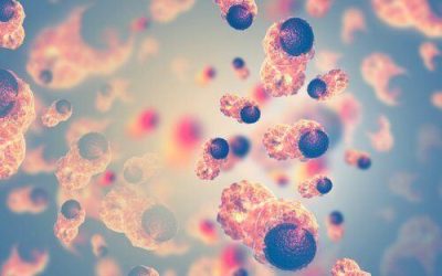 True or False: Cannabis Cures Cancer