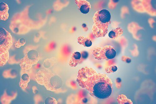 True or False: Cannabis Cures Cancer