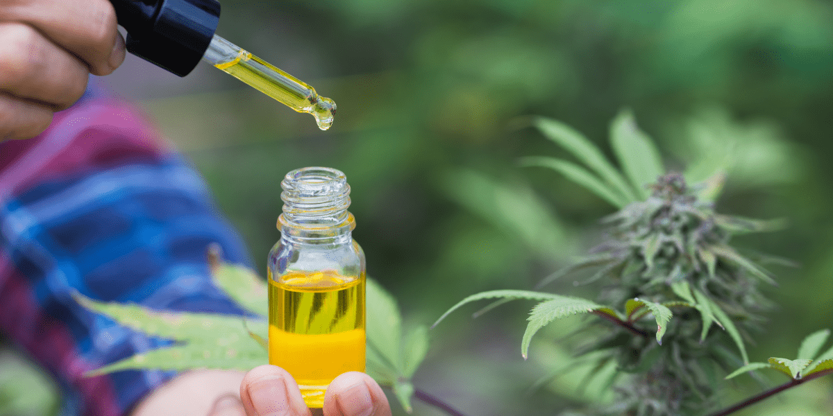 cbd oil near me
