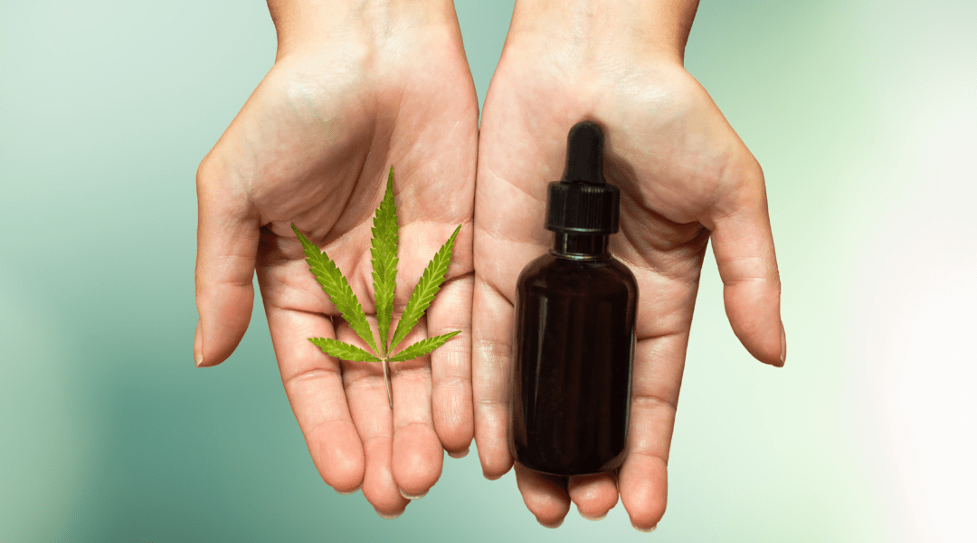 How is THC and CBD Oil Made?