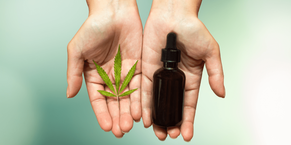 How is THC and CBD Oil Made?