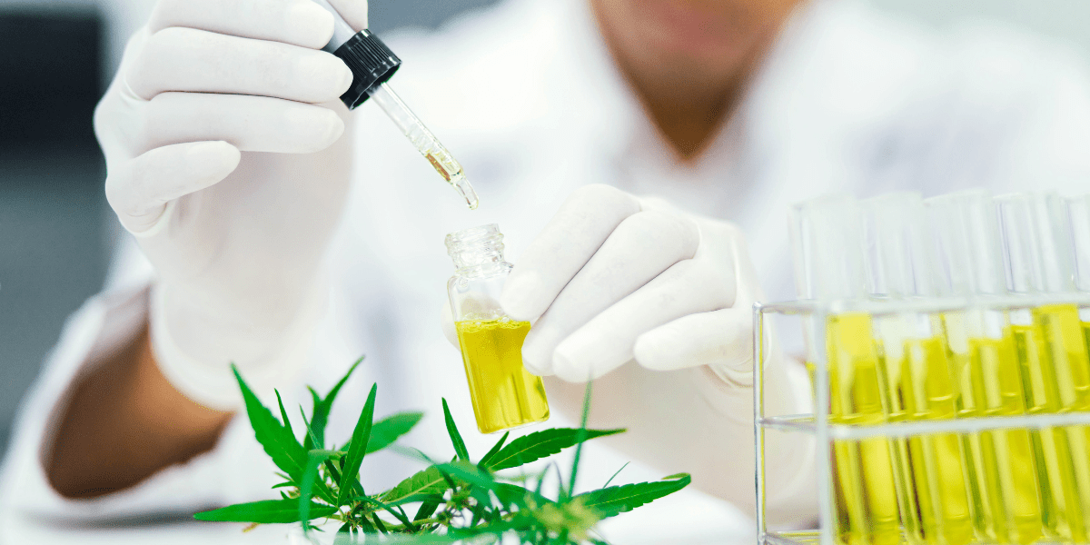 thc oil near me