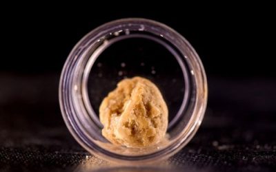 New to Cannabis Concentrates? Here’s What You Need to Know in Ohio