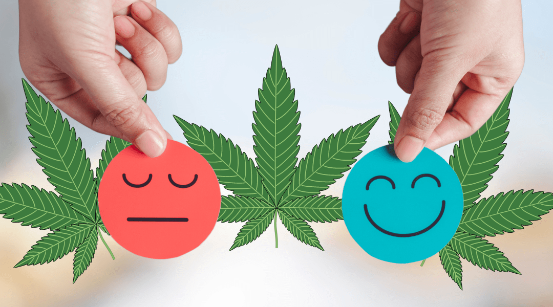 Can I get a Medical Marijuana Card for Bipolar Depression?