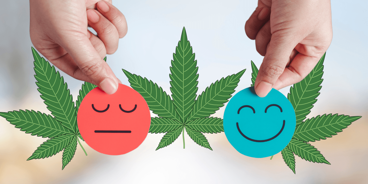 Can I get a Medical Marijuana Card for Bipolar Depression?