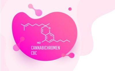 According to Science, the Cannabinoid CBC (Cannabichromene) Has Significant Antibacterial Properties