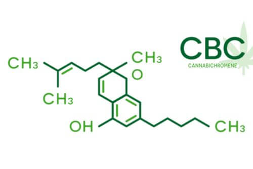 CBC (Cannabichromene): The Antibacterial Cannabinoid in Ohio
