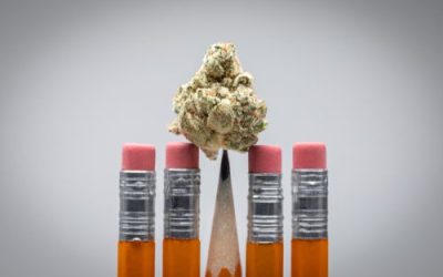 Can Cardholders Use Medical Marijuana on a College Campus in Ohio?