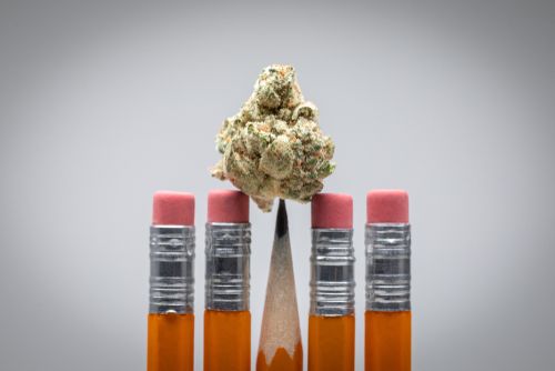 Can Cardholders Use Medical Marijuana on a College Campus in Ohio?