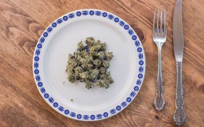 Does Eating Raw Cannabis Offer Any Health Benefits in Ohio?