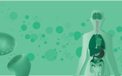 What Are Cannabinoid Receptors & What Do They Do?