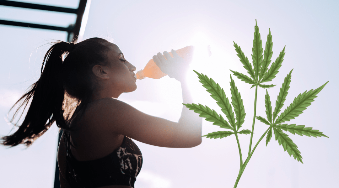 Can Marijuana Cause Dehydration?