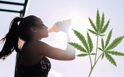 Can Marijuana Cause Dehydration?