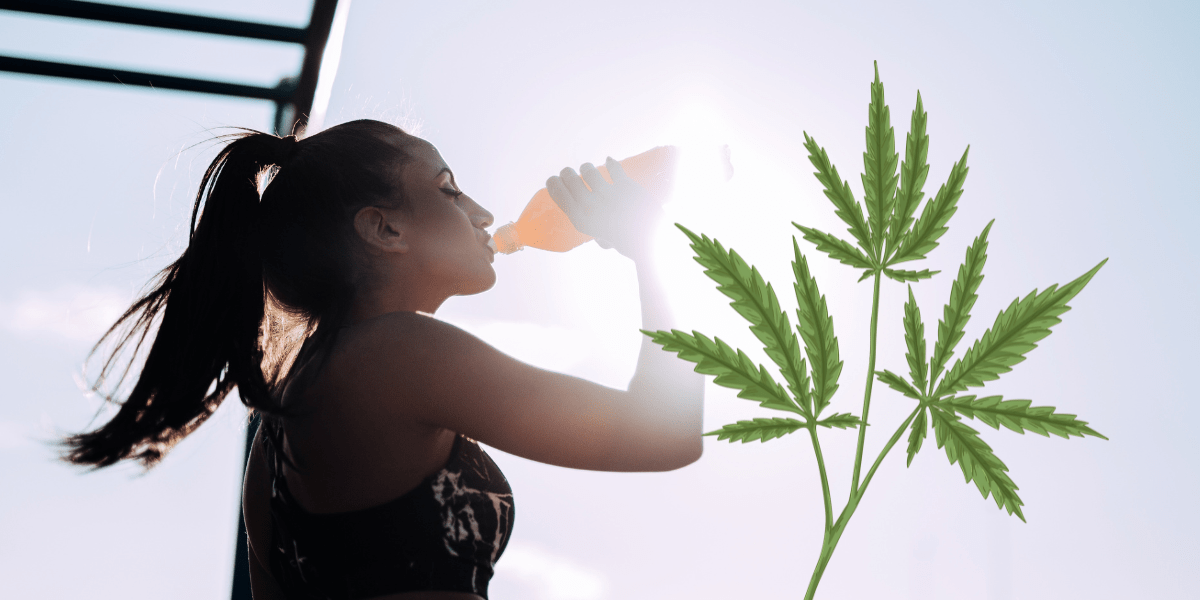 Can Marijuana Cause Dehydration?
